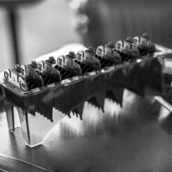 Wahl Black Plastic Clipper Attachment Comb Set -Babyliss Care Shop black plastic clipper attachment comb set p20096 84301 image