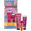 Burt's Bees You're One In A Melon Lip & Hand Cream Gift Set
